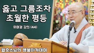 옳고 그름조차 초월한 평등 [월호스님의 행불아카데미 158회]