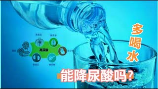 小伙子尿酸高了，通过多喝水能不能把尿酸降下来？医生告诉你 #张之瀛大夫 #张之瀛