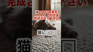 【ことわざ当てクイズ】#4 猫に関する諺です#ことわざ#sora#日本語