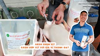 Cách chọn vịt ngon và hướng dẫn ướp vịt với các loại gia vị ngon nhất | Vịt quay xích | Phần 2