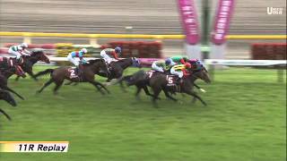 【競馬】 2011 京王杯スプリングカップ