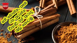 How To Make Cinnamon Powder | Cinnamon Tea | Cinnamon Spices | Kurudu Kudu - කුරුදු කුඩු කොටමු