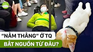 Cái giá quá đắt của nằm thẳng đối với giới trẻ Trung Quốc || HIỂU TRUNG QUỐC