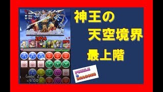 【パズドラ】神王の天空境界  最上階  ギリギリやわ