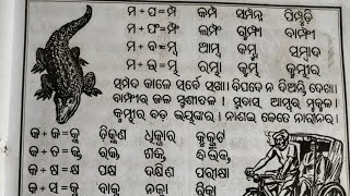 Chhabila madhu Barnabodha ଛବିଳ ମଧୁ ବର୍ଣ୍ଣବୋଧ ବହିର ଯୁକ୍ତାକ୍ଷର (ମ୍ପ, ମ୍ଫ, ମ୍ୱ, ମ୍ଭ)