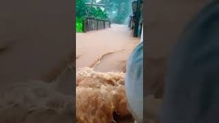 Bhatkal Today Heavy Rain in bhatkal Karnataka #bhatkal #rain #karnataka #short