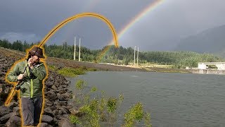 Shad Fishing Near the Bonneville Dam! Learning a New Fish!