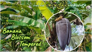 Banana flower traditional  recipe | banana flower tempered | kesel muwa temparaduwa | කෙසෙල් මුව