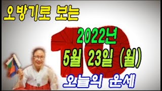 오방기로 보는  2022년 5월  23일 (월요일) 오늘의운세      \