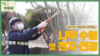 [책으론 부족해] 전지·전정 배우기🌳✂️ | 농촌지도 역량강화 현장학습