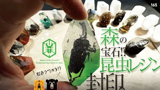 165 insect resin 2nd / 森の宝石セカンド‥!?（凄い昆虫を封印したョ）