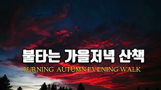 [4K] 불타는 가을저녁 산책 | BURNING AUTUMN EVENING WALK .BUSAN  S KOREA