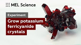 How to grow 3 crystals from 1 substance (Easy experiment)