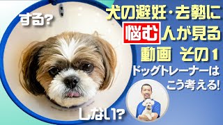 犬の避妊・去勢に悩む人が見る動画　その1