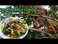 COOKING ALUKON SOUP OUT OF BIRCH FLOWER ( ALUKON ilocano dish) | PROMDI BOY | LIFE IN THE PROVINCE