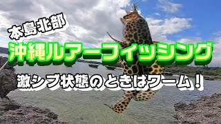 【沖縄ルアーフィッシング】本島北部　激シブの時はワーム！