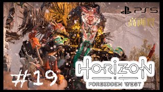 #19「Horizon Forbidden West」(ホライゾン フォービドゥンウエスト）PS５版(高画質）