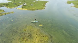 Keyhaven marshes paddleboarding