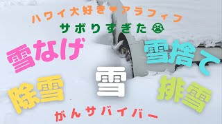 【Vlog】雪❄️雪なげ・雪捨て・雪かき・除雪・排雪