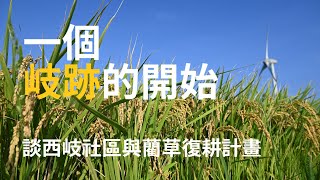 【藺草復耕記】一個岐跡的開始｜田外岐跡駐村紀錄｜第十三屆大專生洄游農村競賽