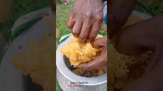 தேனடை எடுக்க போலாமா | wild honeycomb harvesting #honeycomb #honey #shortsfeed