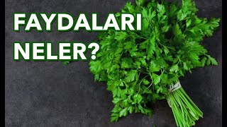 Maydanozun Faydaları Nelerdir? Maydanoz neye iyi gelir? Spor ve Beslenme