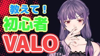 【初心者VALORANT】ソロヴァロラントで練習！【天乃　寂】