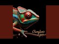 Chameleon's Eyes