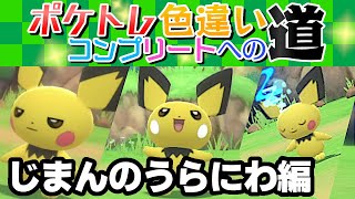 【ポケモンBDSP】ポケトレ色違いコンプリートへの道　じまんのうらにわ編【ゆっくり実況】