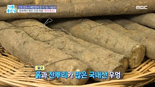 [기분 좋은 날] 땅속에서 찾은 건강 비결 ＜뿌리채소＞, MBC 211116 방송