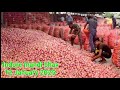 प्याज में तेजी इंदौर मंडी भाव 12 जनवरी 2025 indore mandi bhav pyaj rate today agriculture onion