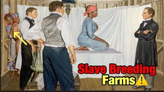 The Horrific Truth About Breeding Farms During Slavery