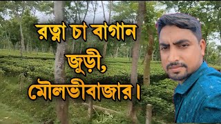 চা বাগানের অসম্ভব সৌন্দর্য।। Nature Hike.