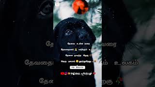 Alone  status 🥀..sad  status 😒.. 💔..  சோக  status ..😭  தனிமை   Quotes.. 🥺