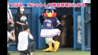 つばみ、オシャレして神宮球場にinする