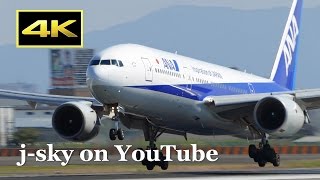 [4K] Plane Spotting at Osaka Itami Airport in Japan - JAL, ANA, IBEX / 伊丹空港 日本航空 全日空