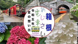 箱根　あじさい電車　令和５年夏の想い出　塔ノ沢駅と銭洗弁天はあじさいに囲まれて 　じいさんファンファン82　　　2023年9月9日　#一人旅 　#箱根  #箱根登山鉄道　#あじさい電車　#温泉