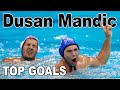 DUSAN MANDIC - Top Goals