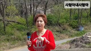 가수복순이 곡명 사랑아내사랑아                   원곡:염수연