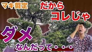 【知れば誰でも出来る】更に一歩プロに近づく為の玉散らしのお手入れの方法を解説【庭師が解説】