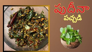 ఎంతో సులువుగా రుచికరమైన పుదీనా పచ్చడి || so simple mint cheyney || kittu_vlogs9676 ||