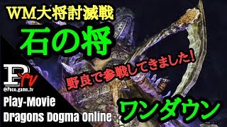 【DDON】WM大将討滅戦 闇の将 ワンダウン【シーカー】