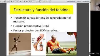 Biomecánica de Tendones y ligamentos