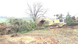 Trimming and Dozing (Pushing) Trees