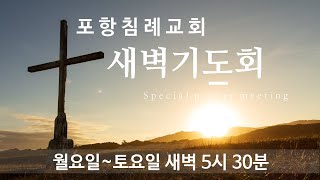 포항침례교회 새벽예배(수)