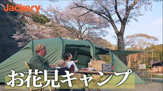 【お花見キャンプ 】満開の桜の下で過ごす家族キャンプ。#live with Jackery#