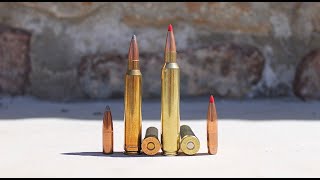 300 Remington Ultra Magnum (300 RUM) Full Profile | 300 Ultra Mag vs 300 Win Mag