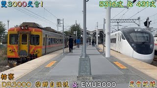 雙3000交會! 2023/1/2 枋寮 5316次 DR3000 柴聯自強號+431次 EMU3000(3017/3170) 交會紀錄