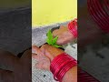 transplanting balsam plant in a plastic container impatiens balsamina