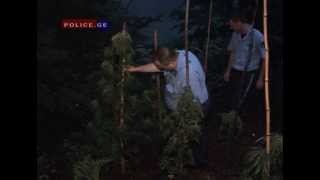 შსს-მ განსაკუთრებით დიდი ოდენობით ნარკოტიკული საშუალება ამოიღო